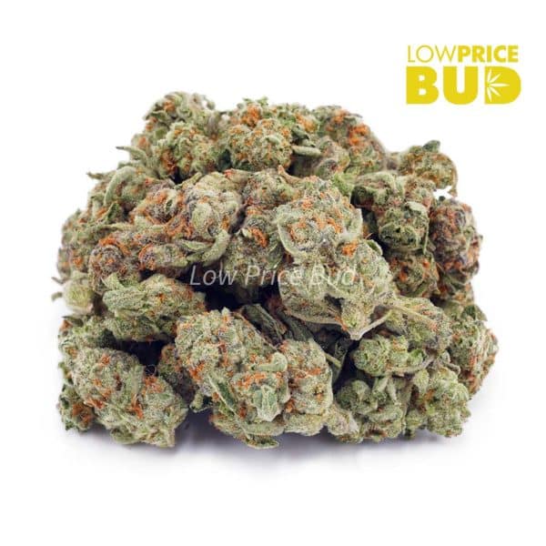 Buy Cookies Kush (AAAA) – Popcorn Nugs online Canada