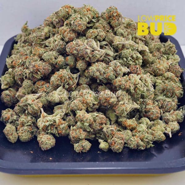 Buy Cookies Kush (AAAA) – Popcorn Nugs online Canada