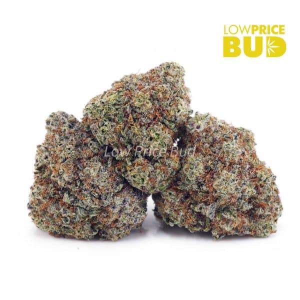 Buy London Pound Cake (AA) online Canada