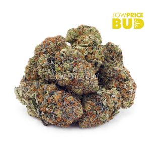Buy Peach Pie (AA) online Canada
