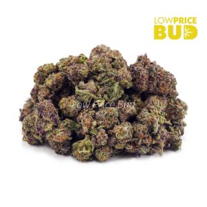 Buy Fruity Pebbles OG (AAAA) – Popcorn Nugs online Canada