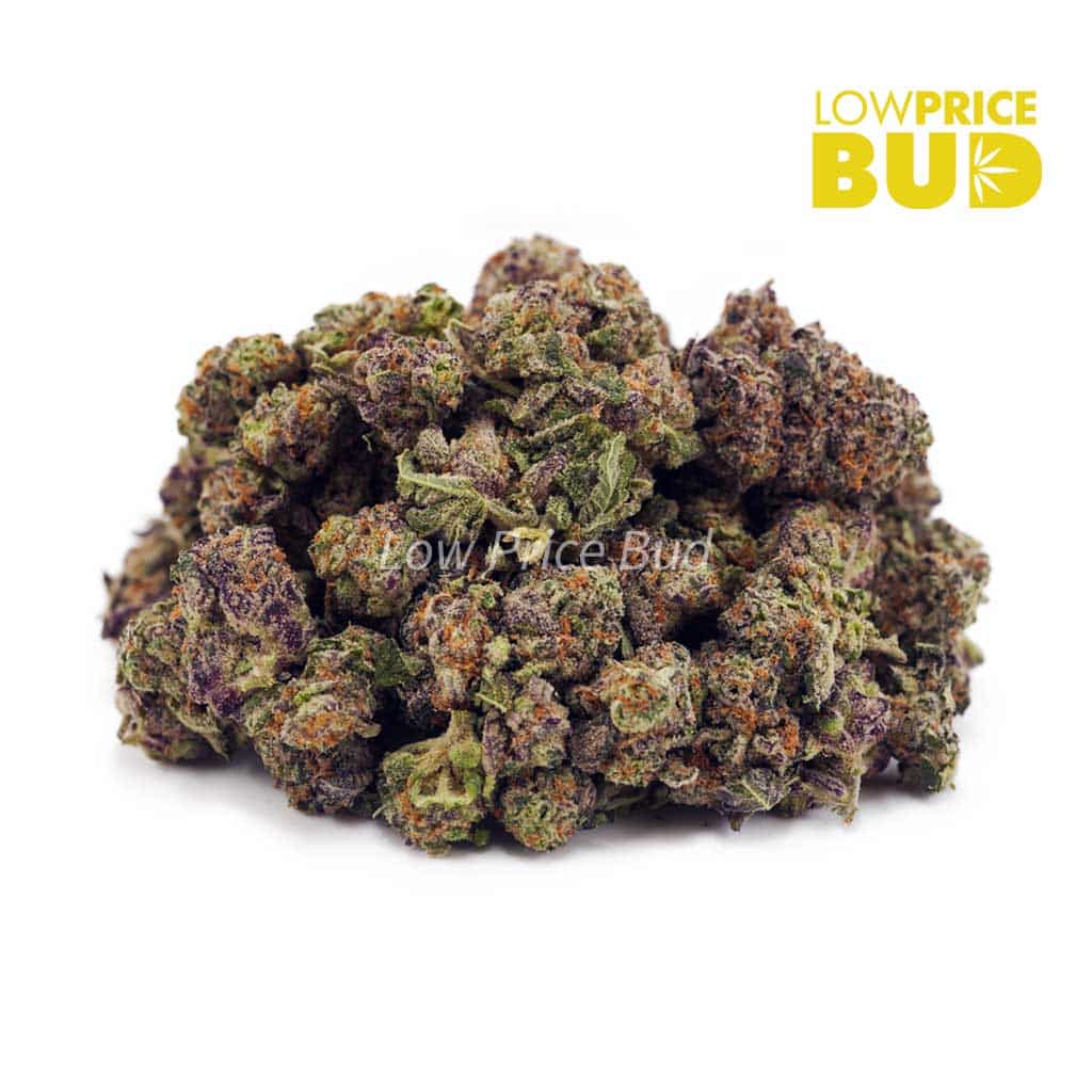 Fruity Pebbles OG (AAAA) – Popcorn Nugs Buy Fruity Pebbles OG (AAAA) – Popcorn Nugs online Canada