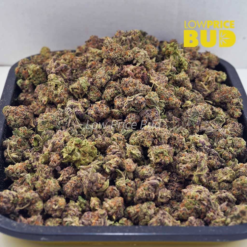 Fruity Pebbles OG (AAAA) – Popcorn Nugs Buy Fruity Pebbles OG (AAAA) – Popcorn Nugs online Canada