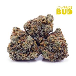 Buy Double OG (AA) online Canada