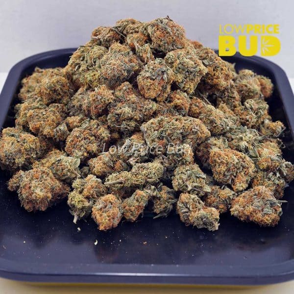 Buy Double OG (AA) online Canada