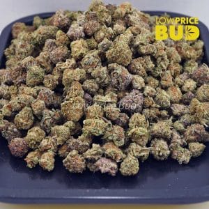 Buy 33 Splitter (AAAA) – Popcorn Nugs online Canada