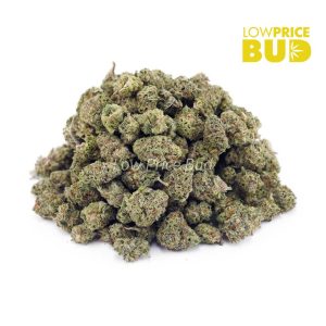 Buy Purple Punch (AAAA) – Popcorn Nugs online Canada
