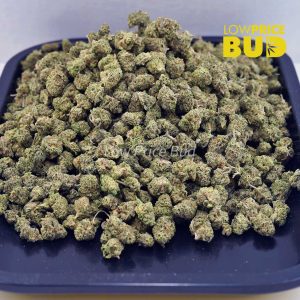 Buy Purple Punch (AAAA) – Popcorn Nugs online Canada
