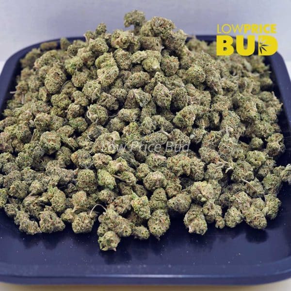 Buy Purple Punch (AAAA) – Popcorn Nugs online Canada