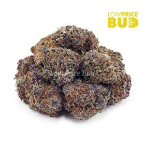 Buy Laughing Buddha (Craft Cannabis) online Canada