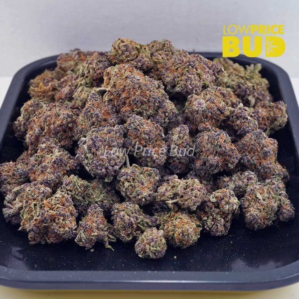 Buy Laughing Buddha (Craft Cannabis) online Canada