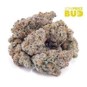 Laughing Buddha (Craft Cannabis) Buy Laughing Buddha (Craft Cannabis) online Canada