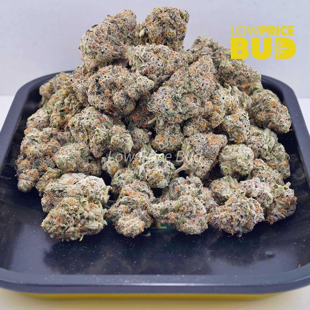 Laughing Buddha (Craft Cannabis) Buy Laughing Buddha (Craft Cannabis) online Canada