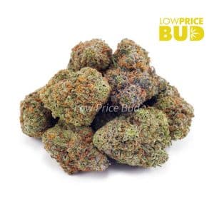 Green Crack (AAA) Buy Green Crack (AAA) online Canada