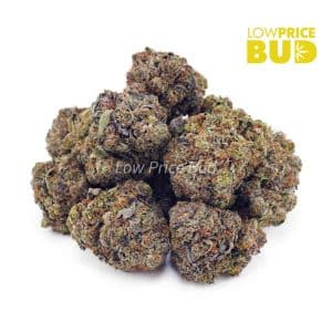 Hawaiian Pink Punch (Craft Cannabis) Buy Hawaiian Pink Punch (Craft Cannabis) online Canada