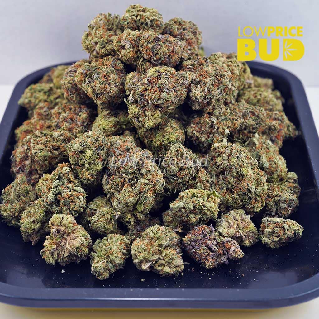 Death Pink (AAAA) Buy Death Pink (AAAA) online Canada