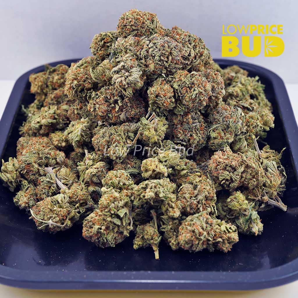 Rockstar (AAA) Buy Rockstar (AAA) online Canada