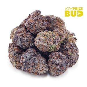 Buy Gods’s Green Crack (AAAA) online Canada