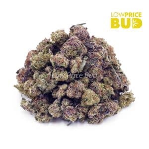 Buy Build Your Own (AAAA) Popcorn Half Pound online Canada