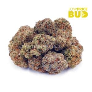 Vanilla Kush (AAA) Buy Vanilla Kush (AAA) online Canada