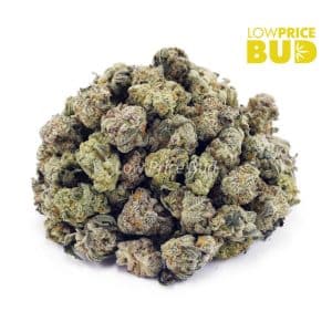 Buy Biscotti (AAAA) – Popcorn Nugs online Canada