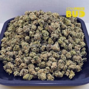 Buy Biscotti (AAAA) – Popcorn Nugs online Canada