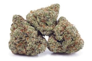 vanilla kush cannabis flowers