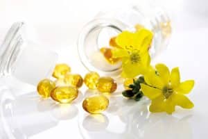 medicinal plants - Primrose Oil
