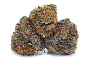 uk cheese strain single