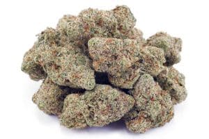 vanilla kush cannabis