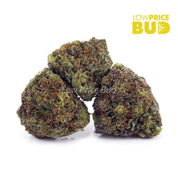 Buy Bubba Kush (AAA) online Canada