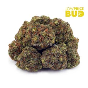 Buy Bubba Kush (AAA) online Canada