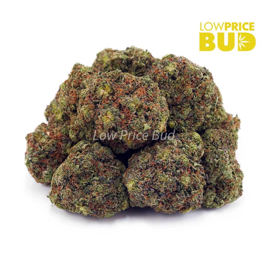 Buy Bubba Kush (AAA) online Canada