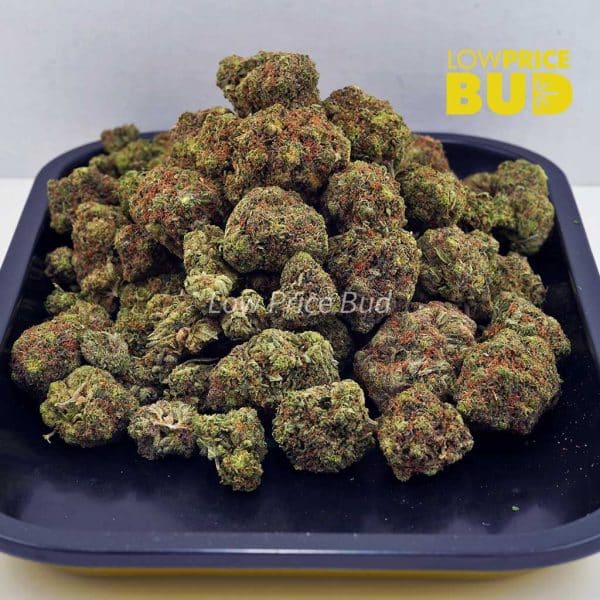 Buy Bubba Kush (AAA) online Canada