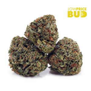 Buy Pink Kush (AAA) online Canada