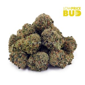 Buy Pink Kush (AAA) online Canada