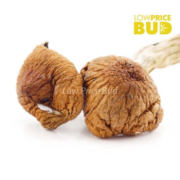 Buy Mushrooms – Jedi Mindfuck online Canada