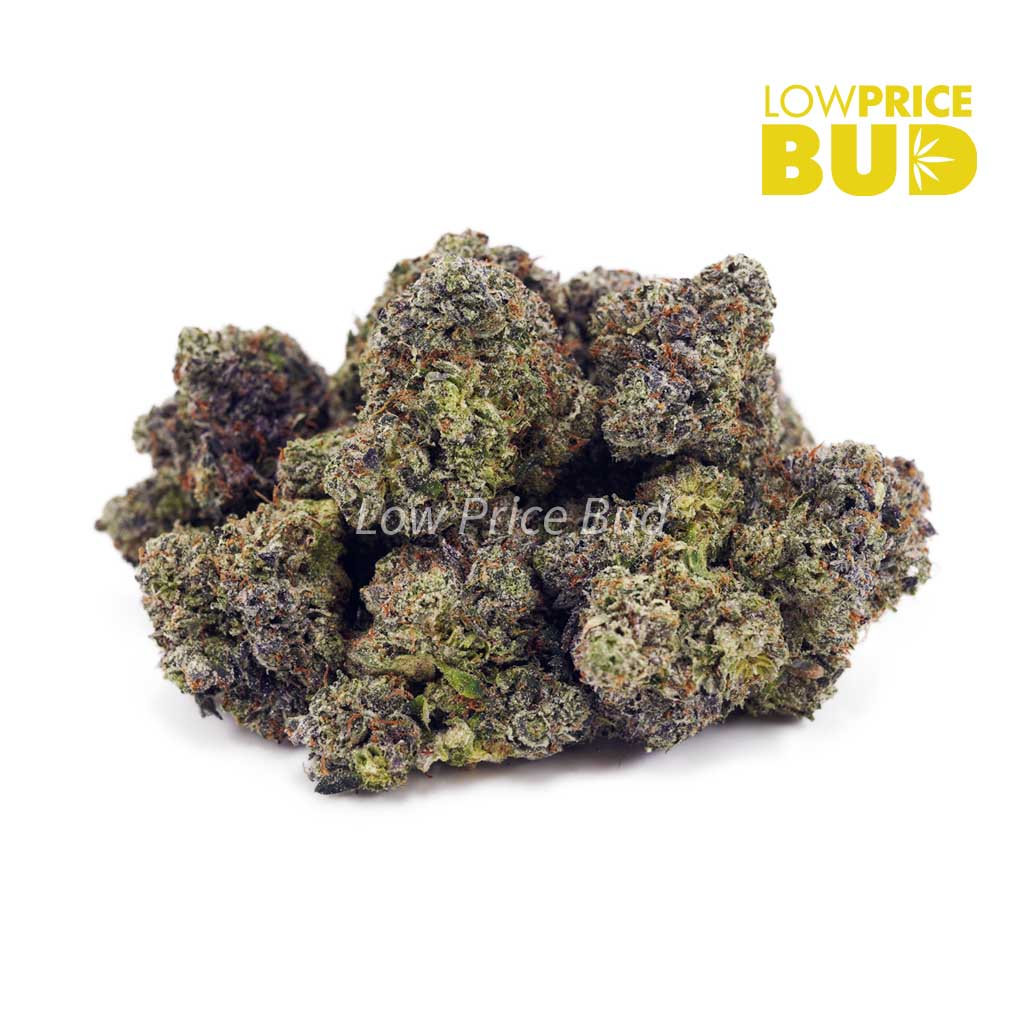 Buy Island Pink Kush (Craft Cannabis) online Canada