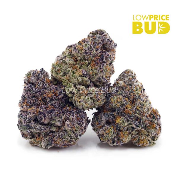 Buy Blueberry Cough (AAAA) online Canada