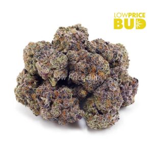 Buy Blueberry Cough (AAAA) online Canada