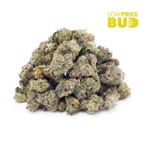 Buy Strawberry Cheesecake (AAAA) – Popcorn Nugs online Canada