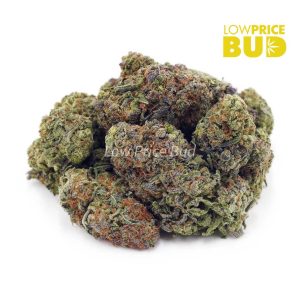 Buy Pineapple Express (AA) online Canada
