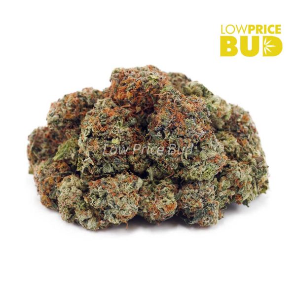 Buy Hawaiian Snow (AA) online Canada