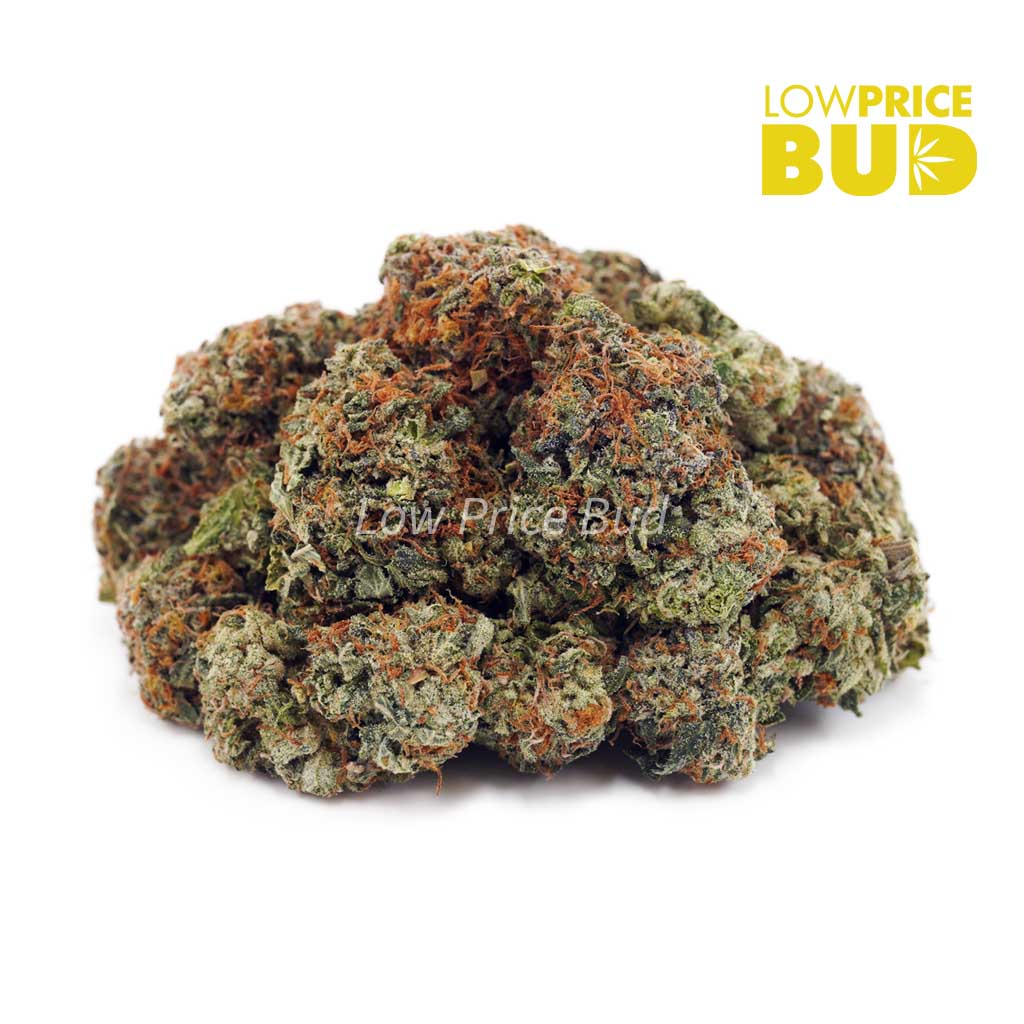 Buy Hawaiian Snow (AA) online Canada