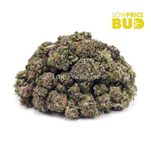 Buy Orange Creamsicle (AAAA) – Popcorn Nugs online Canada