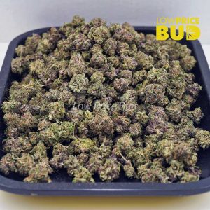 Buy Orange Creamsicle (AAAA) – Popcorn Nugs online Canada