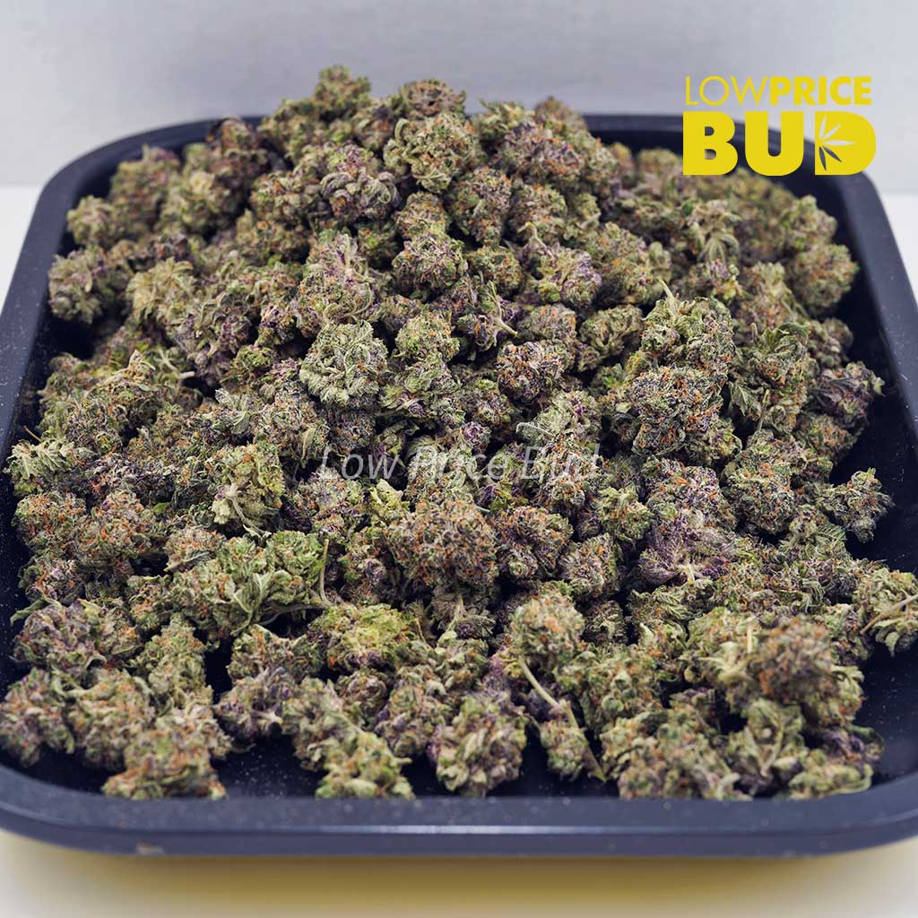 Buy Orange Creamsicle (AAAA) – Popcorn Nugs online Canada