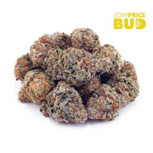 Buy Astro Cookies (AAAA) – Popcorn Nugs online Canada
