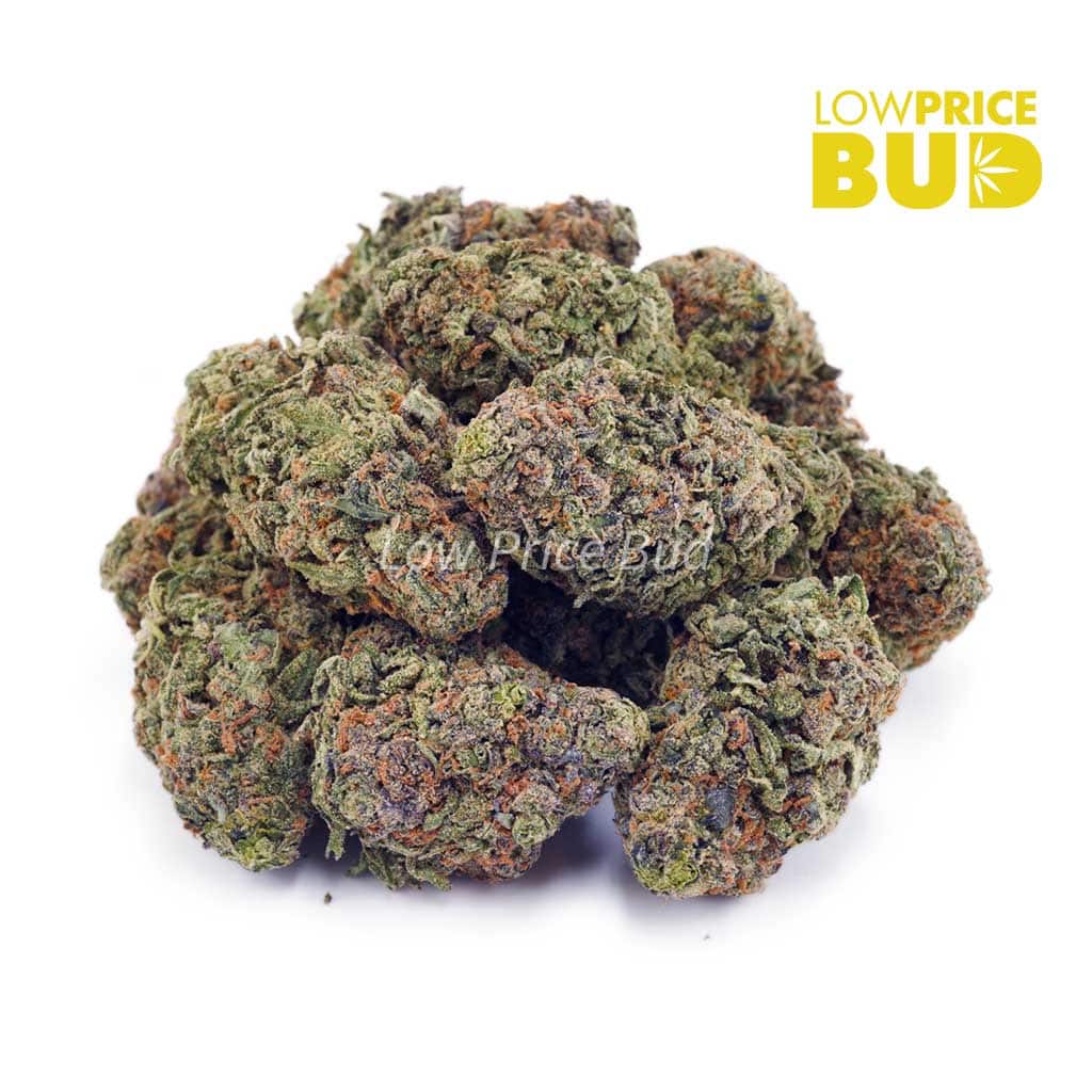 Buy Wedding Crasher (AA) online Canada