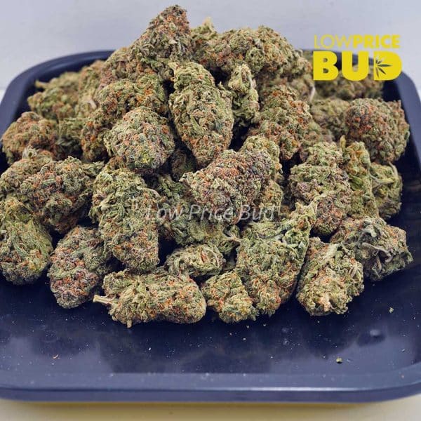 Buy Wedding Crasher (AA) online Canada
